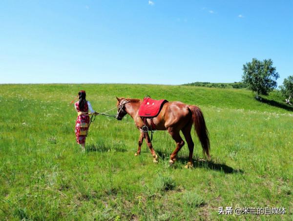 暑期自駕遊，走進內蒙汗蘇魯，不僅有草原醉美晚霞