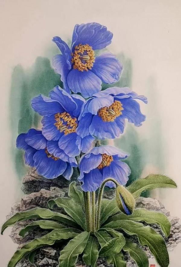 中國動植物畫第一人，曾孝濂極品工筆畫