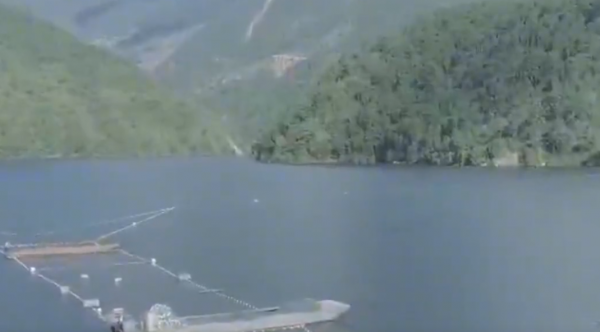 2009年老闆投入6000萬尾魚苗，魚集體失蹤，4年後靠魚年收3000萬