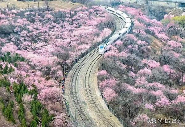 2021好幸運，和你在昌平走過春夏秋冬
