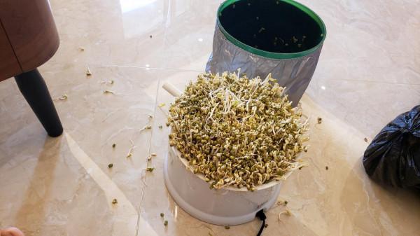 閒置率極高的6件家居用品,費錢佔空間還藏灰,不要再跟風買了 閒置率極高的6件家居用品,費錢佔空間還藏灰,不要再跟風買了