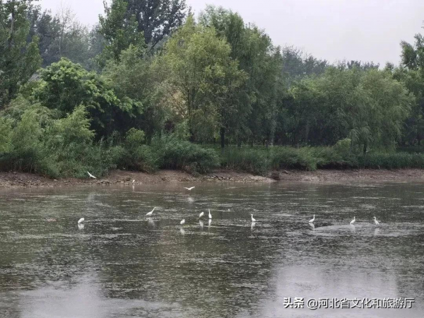 如詩如畫,何不來這“畫”中一遊? 如詩如畫,何不來這“畫”中一遊?