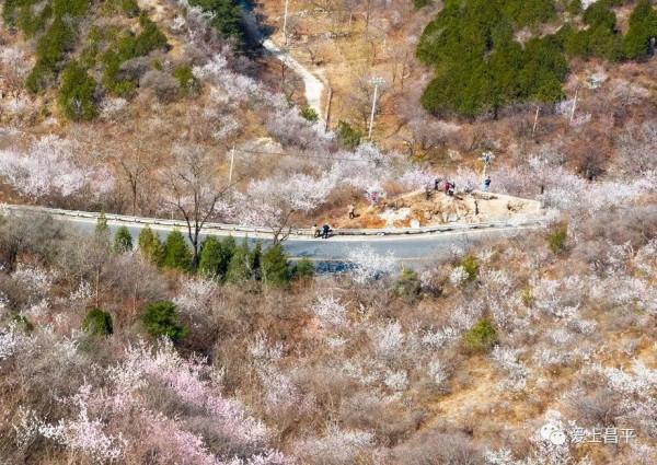 美成仙境的京郊延壽醉美公路，玩賞正當時！