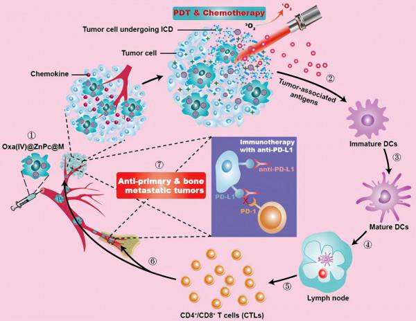 我國一年超400萬人患癌!中山大學在癌症研究領域,獲多項重要成果 我國一年超400萬人患癌!中山大學在癌症研究領域,獲多項重要成果