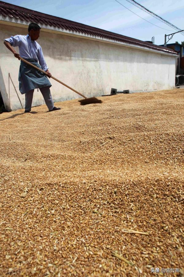 農民要做好這三點，才能讓自己有一個安穩的晚年生活