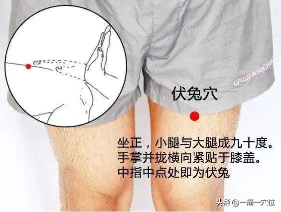 胃食道反流、燒心、胃部壓迫感，不同症狀不同取穴，你學會了嗎？