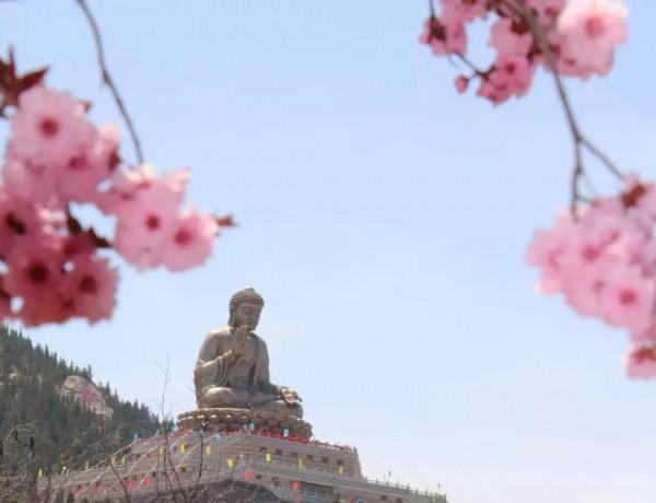 翔海集團:四季美景醉人心!龍口這個地方,一年四季都這麼美 翔海集團:四季美景醉人心!龍口這個地方,一年四季都這麼美