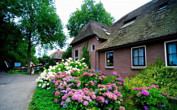 荷蘭羊角村:荷蘭的綠色威尼斯 荷蘭羊角村:荷蘭的綠色威尼斯