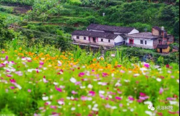 疫情之下國內旅遊新趨勢