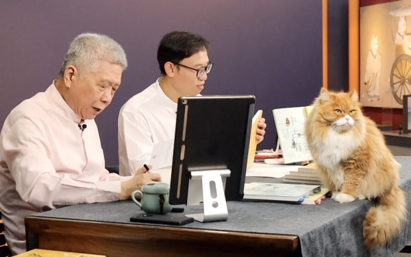 大貓星王情聖的工作日常