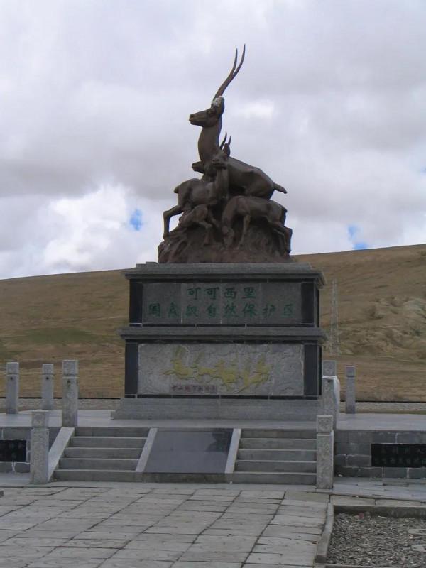 藏羚羊，好可愛