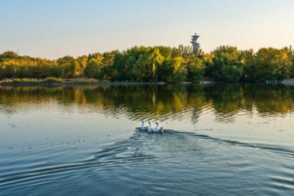 【分享閱讀】10首秋水詩詞，感受不一樣的秋天!