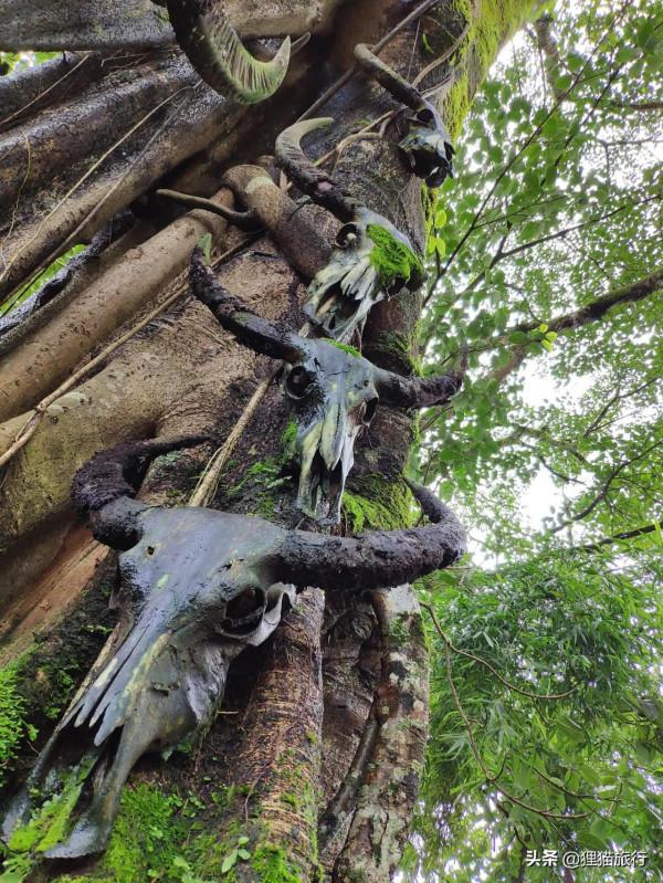 雲南蟲谷的原型地——雲南翁丁村佤寨，是中國最後一個原始部落