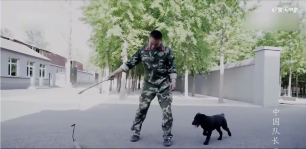 成為搜救犬有多難？爬障礙、鑽廢墟，每天訓練8小時！紀錄片