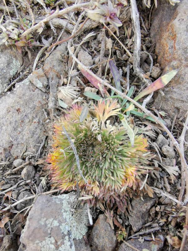 宣化紅一師老戰友遊走大明宣府青邊口，晚秋景色亦迷人