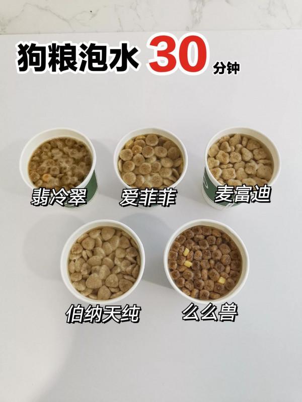 泡水居然可以讓狗糧自動呈現好壞很多時候都在為狗糧的好壞而煩惱