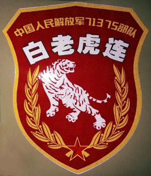 虎虎生威，戰力爆表！丨細數我軍以“虎”命名的英雄部隊（一）