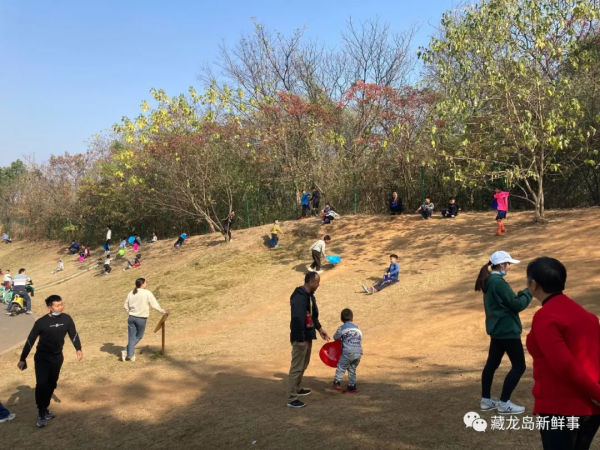 江夏藏龍島這裡新添了一個“滑草”樂園！孩子們嗨翻天
