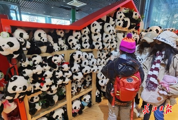 北京動物園看&OpenCurlyDoubleQuote;冰墩墩&rdquo;原型 &vert; 松哥看冬奧