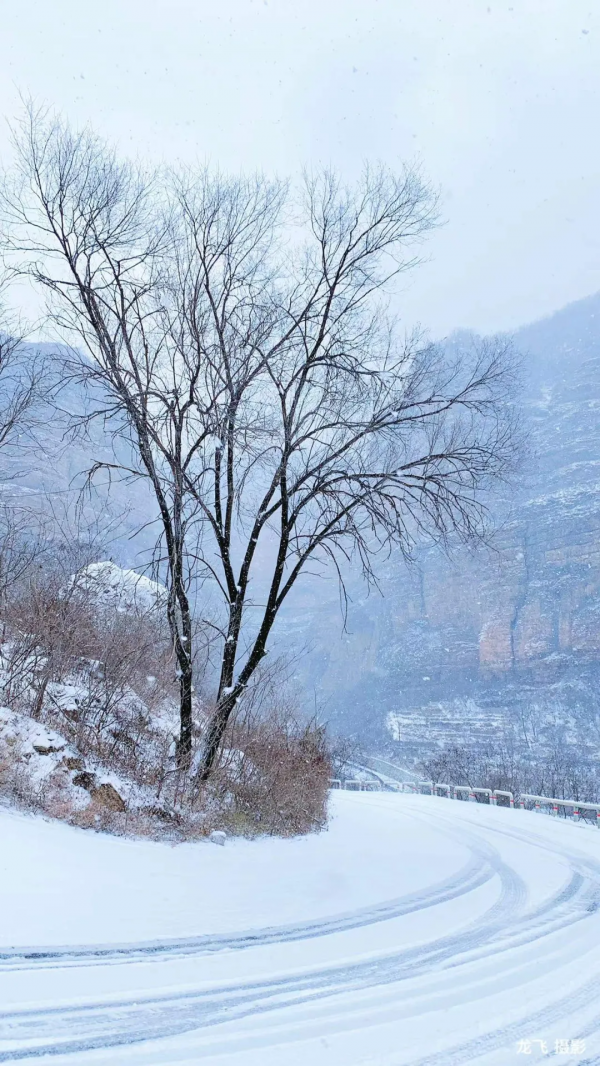 一場雪,讓太行大峽谷變成了一幅水墨畫 一場雪,讓太行大峽谷變成了一幅水墨畫