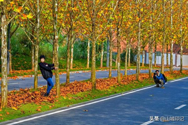 廣陽島初冬美景正式登場,驚豔整個冬天,快來更新桌布吧 廣陽島初冬美景正式登場,驚豔整個冬天,快來更新桌布吧