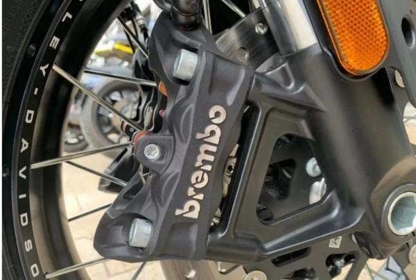 最不哈雷的哈雷，泛美