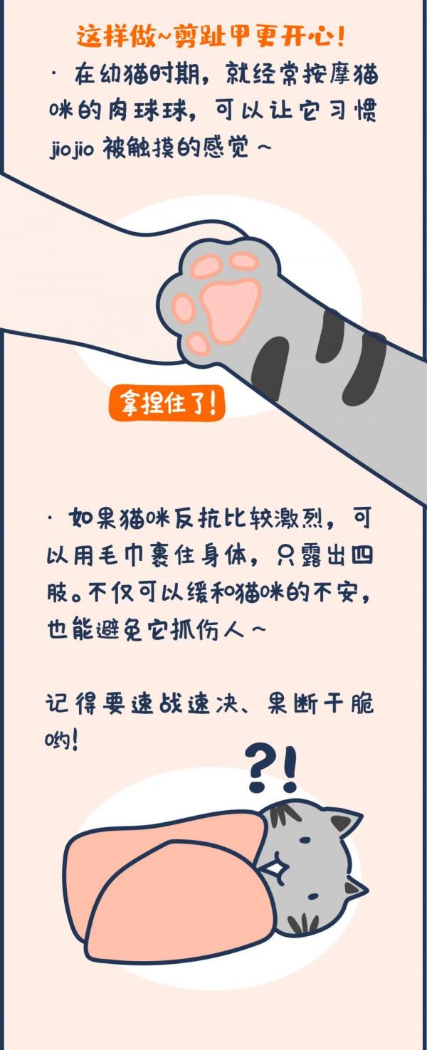 貓咪趾甲尖尖,天天給我抓出“花臂”...羨慕嗎?可疼啦 T^T 貓咪趾甲尖尖,天天給我抓出“花臂”...羨慕嗎?可疼啦 T^T