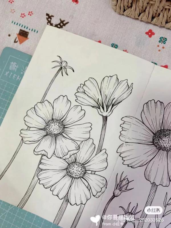 頂級創意線描,張張精緻走心,不收藏太可惜了 頂級創意線描,張張精緻走心,不收藏太可惜了