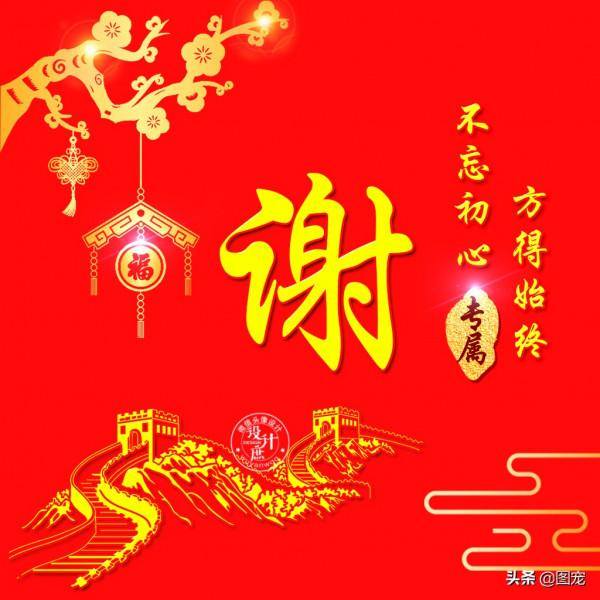 姓氏頭像：用專業的知識創造財富，用行動塑造未來