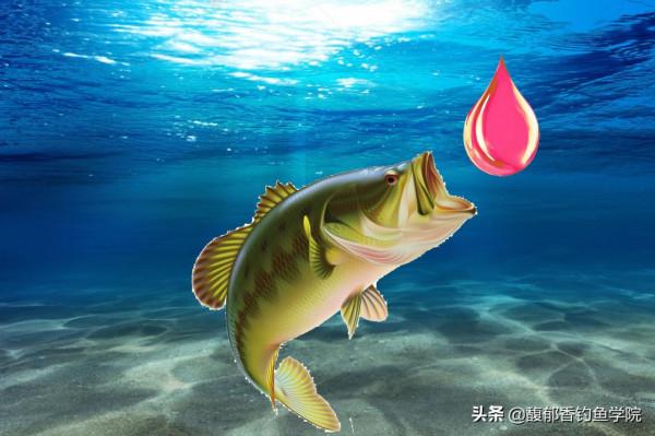 冬天釣魚，為什麼窩裡魚很多，魚口卻不好？原因如下