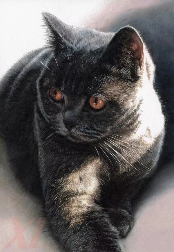 清華美院男神，被稱彩鉛界“冷軍”！他筆下的美少女令人牽魂夢繞