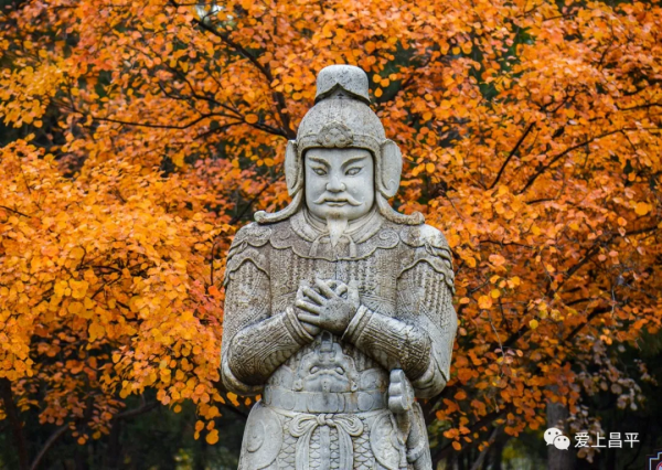 氣溫驟降,昌平這6個賞紅葉地即將登場,提前收藏 氣溫驟降,昌平這6個賞紅葉地即將登場,提前收藏