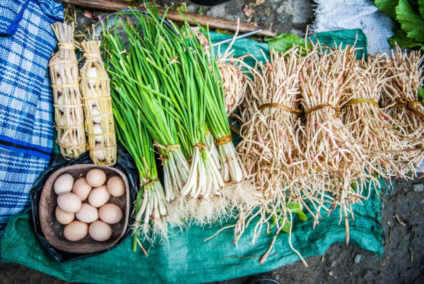 霸佔700項非遺，溫泉當水喝，連聯合國都來朝聖！力薦
