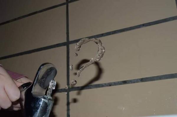 24張“活久見”的照片，狗狗竟用武器決鬥，山羊也能爬樹？