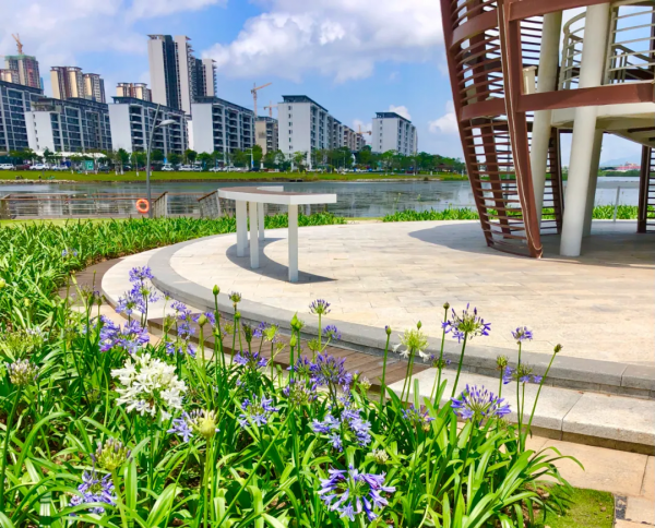 學會搭配這8種園藝植物，讓你的花園收穫一個有趣的靈魂