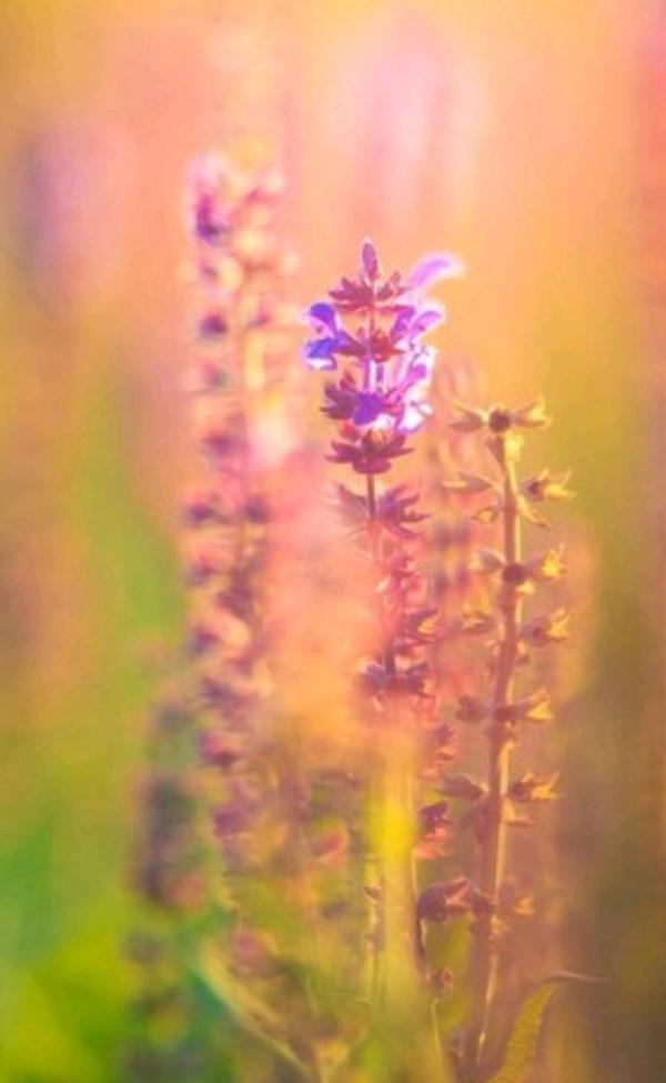 散文:人到中年,欲說還休,天涼好個秋 散文:人到中年,欲說還休,天涼好個秋