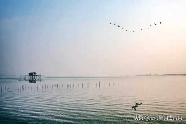 雁飛南與北,相思秋與春 雁飛南與北,相思秋與春