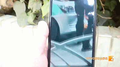 好疼！狗當街被撞卡進車保險槓內..... 誰該負責？