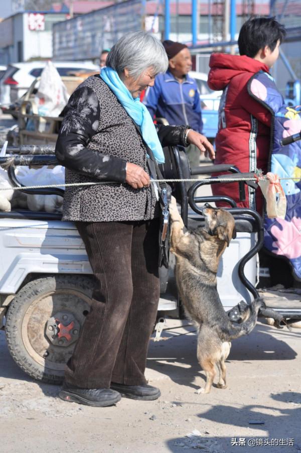 大娘從垃圾箱裡撿到“小野貨”,能辨別善與惡,老人:金山都不換 大娘從垃圾箱裡撿到“小野貨”,能辨別善與惡,老人:金山都不換
