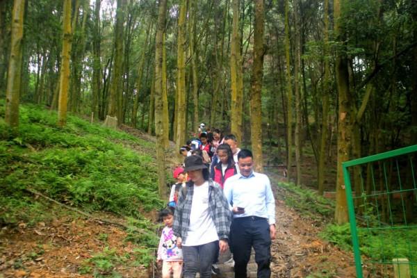 小記遊學高峰森林公園:研學路辨中草藥材,訪靈芝谷看林下經濟 小記遊學高峰森林公園:研學路辨中草藥材,訪靈芝谷看林下經濟