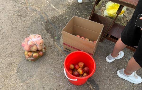 斯巴魯森林人帶你打卡北京夏季最值得去的地方