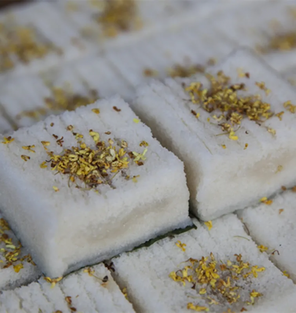 一葉知秋,烏鎮秋天的第一波美圖,誰看誰心動 | 烏鎮•美圖 一葉知秋,烏鎮秋天的第一波美圖,誰看誰心動 | 烏鎮•美圖