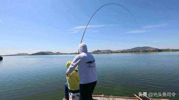 收費水庫青魚、草魚都能釣，為何不能釣鰱鱅？難道是老闆玩不起？