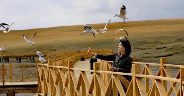 新疆之旅--9day 最美獨庫公路之精華段,那拉提--巴音布洛克草原 新疆之旅--9day 最美獨庫公路之精華段,那拉提--巴音布洛克草原