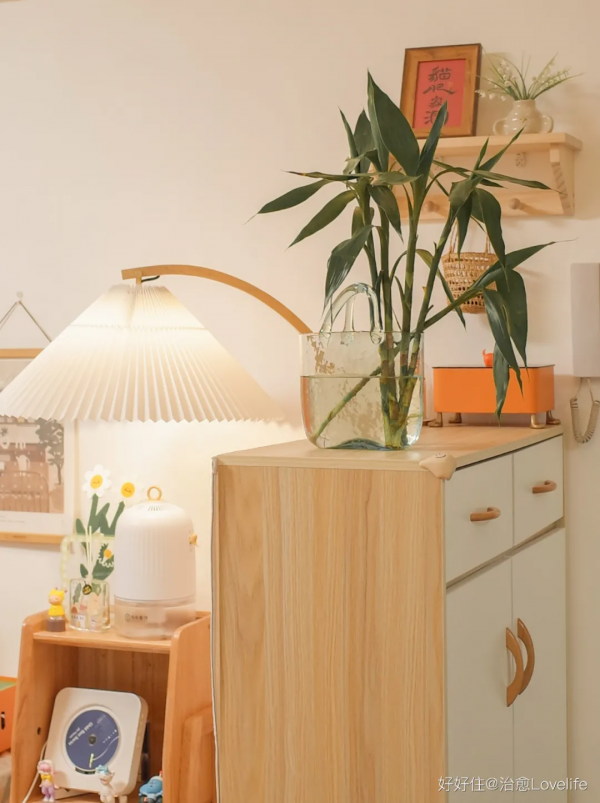 她家簡直是個種草機，原木空間進來就出不去