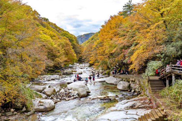 黑熊溝——四川光霧山