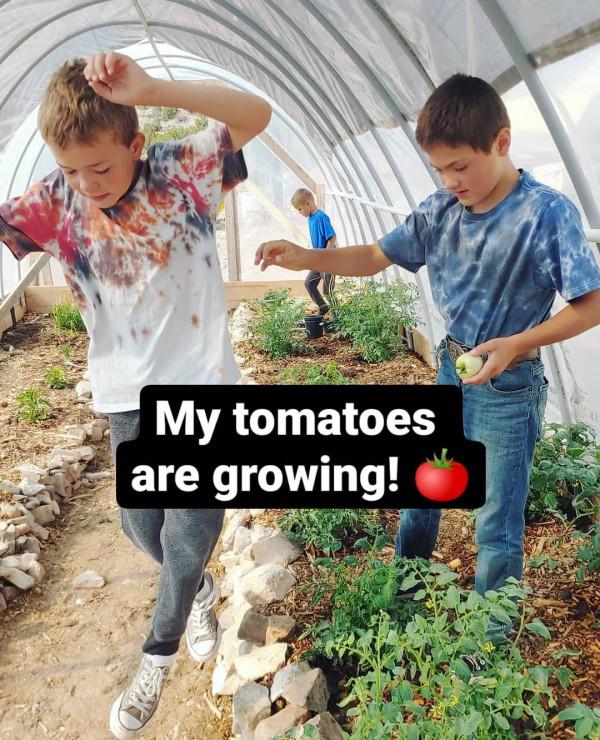 想成為電影裡的大家庭,美國夫妻12年生12個娃!每天生活無比熱鬧 想成為電影裡的大家庭,美國夫妻12年生12個娃!每天生活無比熱鬧