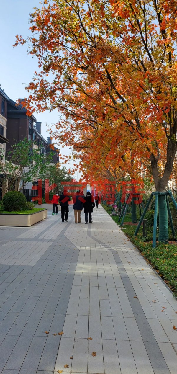 中海望京府交房了，怎麼樣？