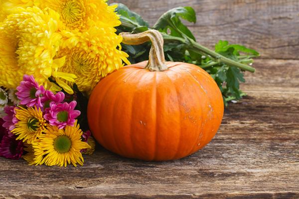 煙,這熊玩意 煙,這熊玩意