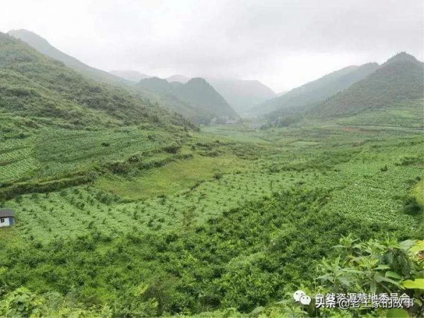 「產業發展」十大模式“引爆”林下經濟發展